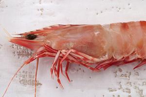 調味料開発についてのサイト紹介