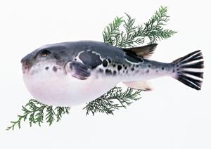 オフ会も楽しめる梅田のゲームバー