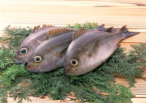 千葉市花見川区の絶品炭火焼きと新鮮魚介が楽しめる酒場食堂V：居心地良い和の空間で特選料理とドリンクを堪能