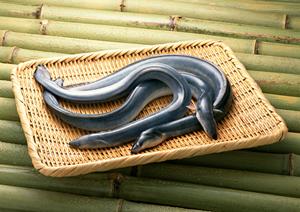 焼肉 飛車角 – 上質な和牛を堪能できる焼肉レストラン