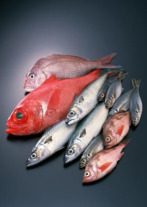 恵比寿駅から近い東京シーシャのお店