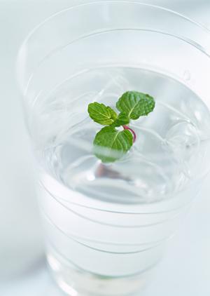 大阪でバーベキューレンタルを行う会社