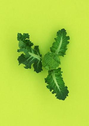 浅草の絶品もんじゃを楽しむ！地元民おすすめの名店ガイド