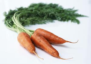 銀座で味わう絶品焼き鳥！厳選店の魅力とおすすめメニューを徹底紹介