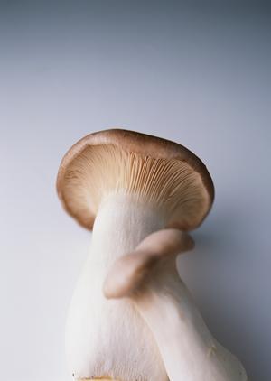 世界のビール博物館 横浜店 – グローバルビール体験の場所