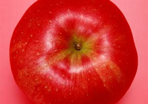 すすきの観光で行こう！旨い和食食堂