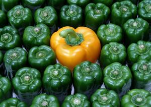 大府市で絶品イタリアンを楽しむなら！2025年最新版おすすめレストランランキング