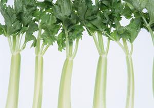 新井薬師前で美味しい焼き鳥が楽しめる