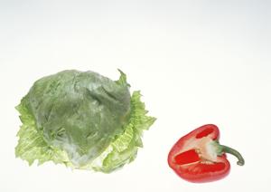 ベトナム料理とカジュアルなレストラン体験を提供するヴェトナム アリス銀座店の魅力と詳細